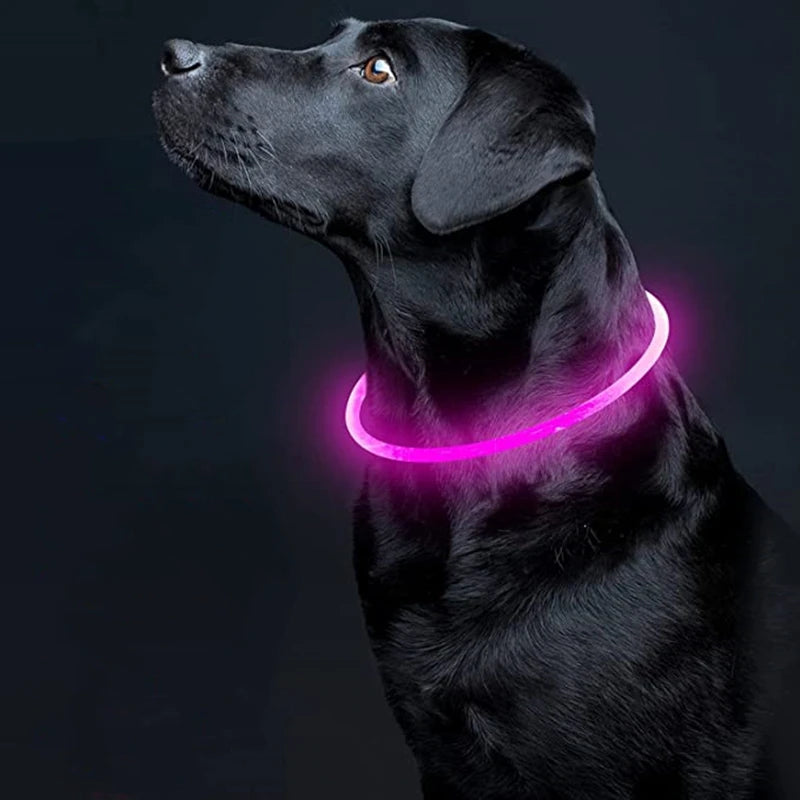 LED Rechargeable Dog Collar