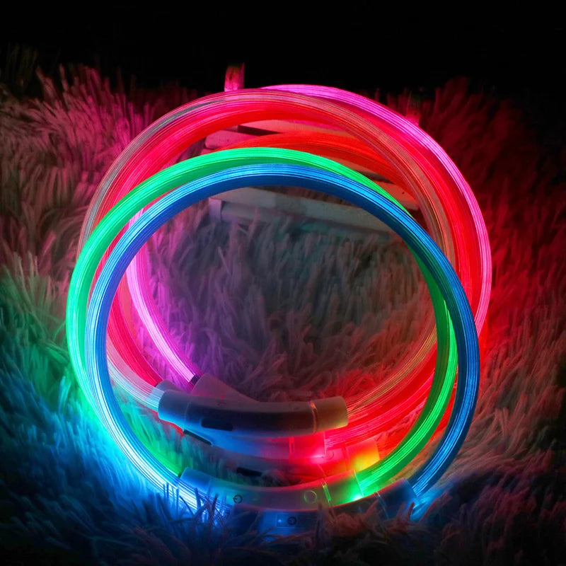 LED Rechargeable Dog Collar