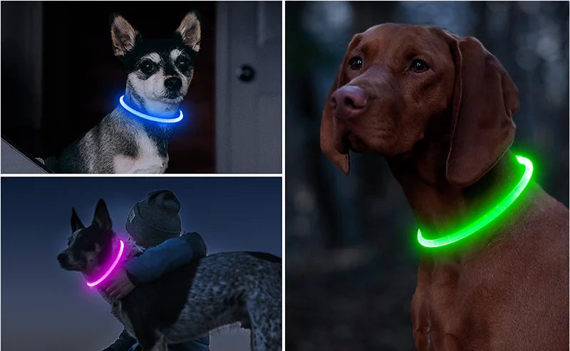 LED Rechargeable Dog Collar