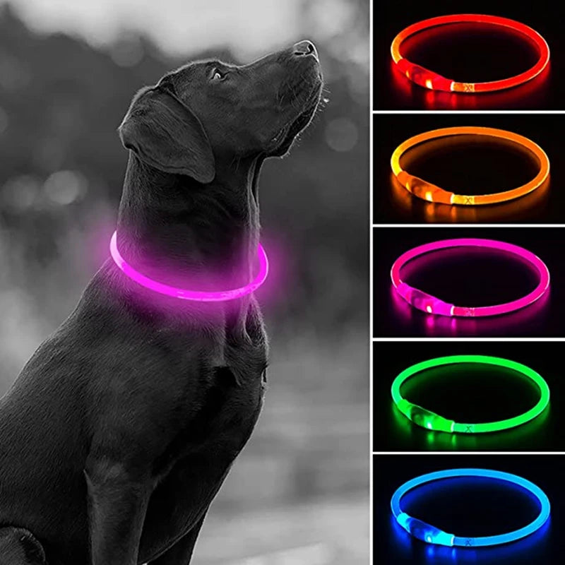 LED Rechargeable Dog Collar