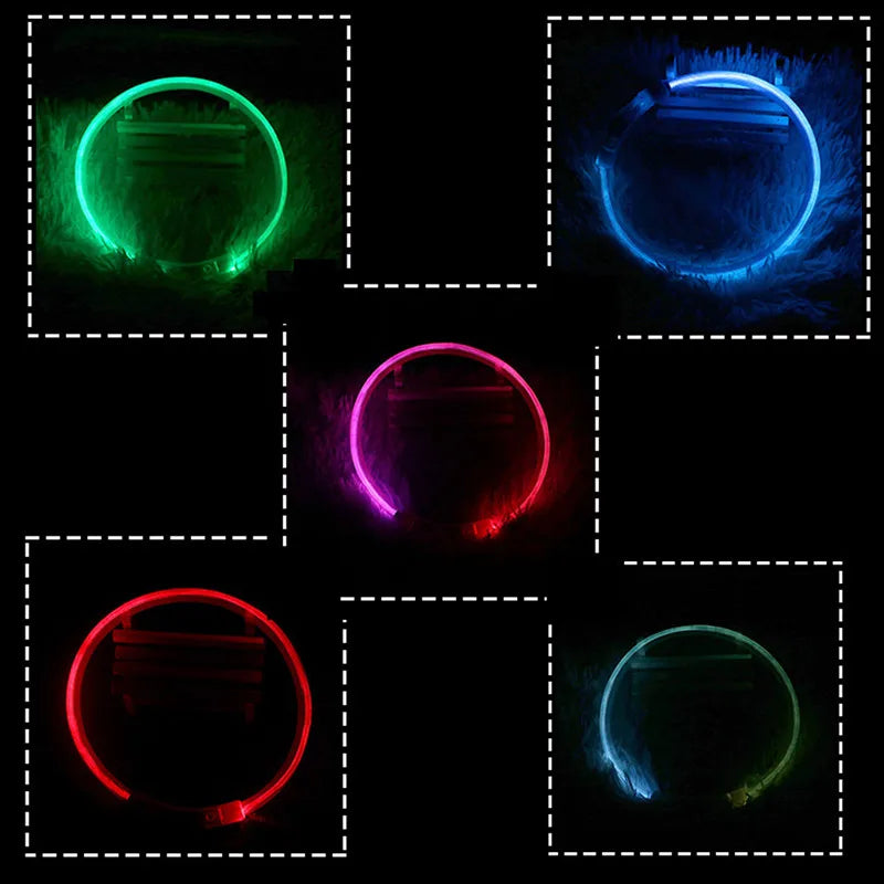 LED Rechargeable Dog Collar