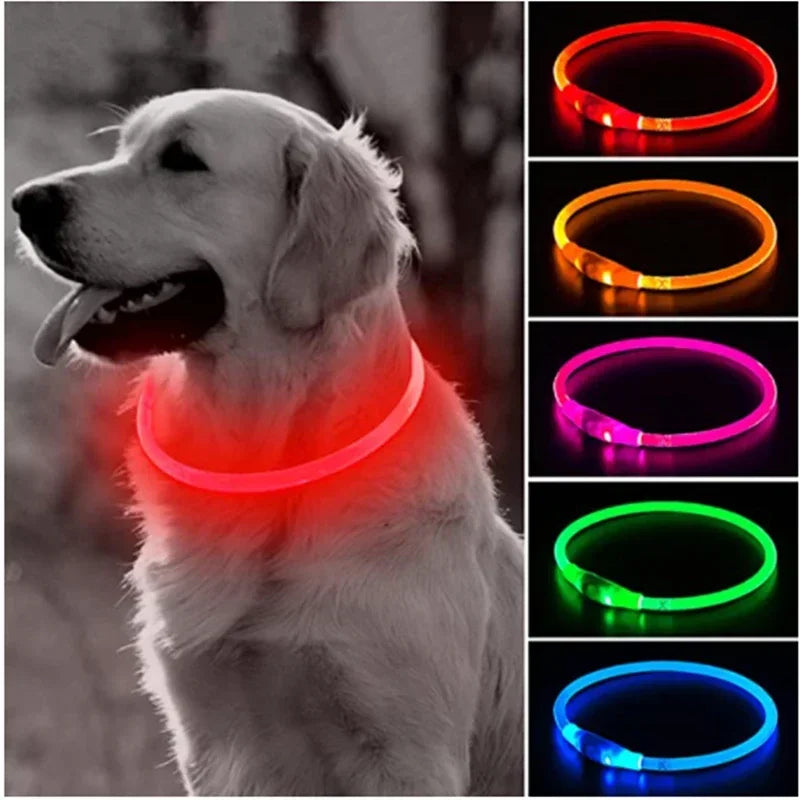 LED Light Up Dog Collar