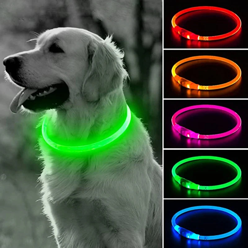 LED Rechargeable Dog Collar