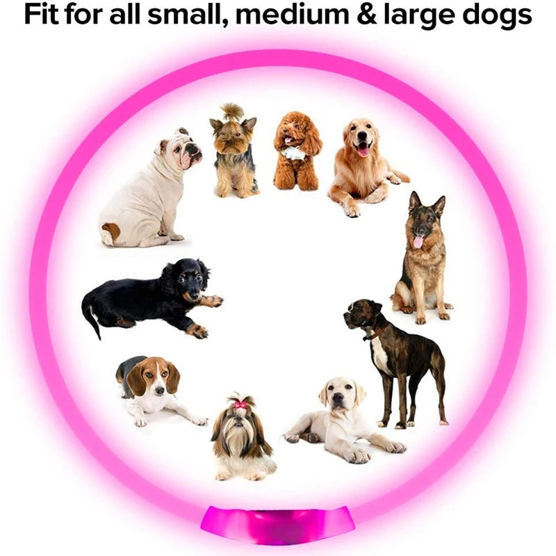 LED Rechargeable Dog Collar